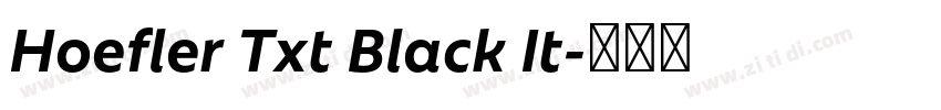 Hoefler Txt Black It字体转换